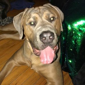 Meet your Posher, Kesha